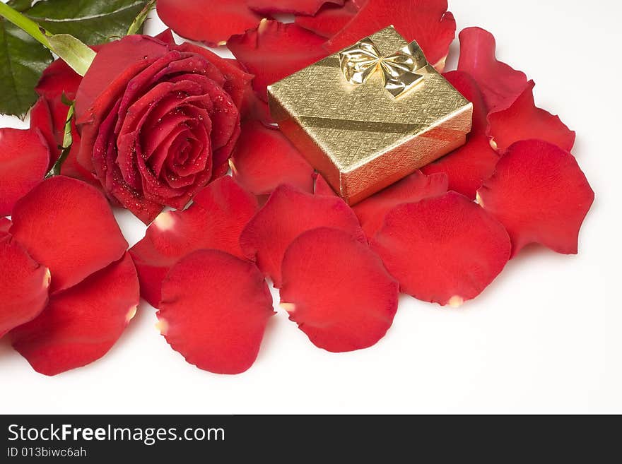 Petals and a rose with a golden gift box on a white background. Petals and a rose with a golden gift box on a white background.