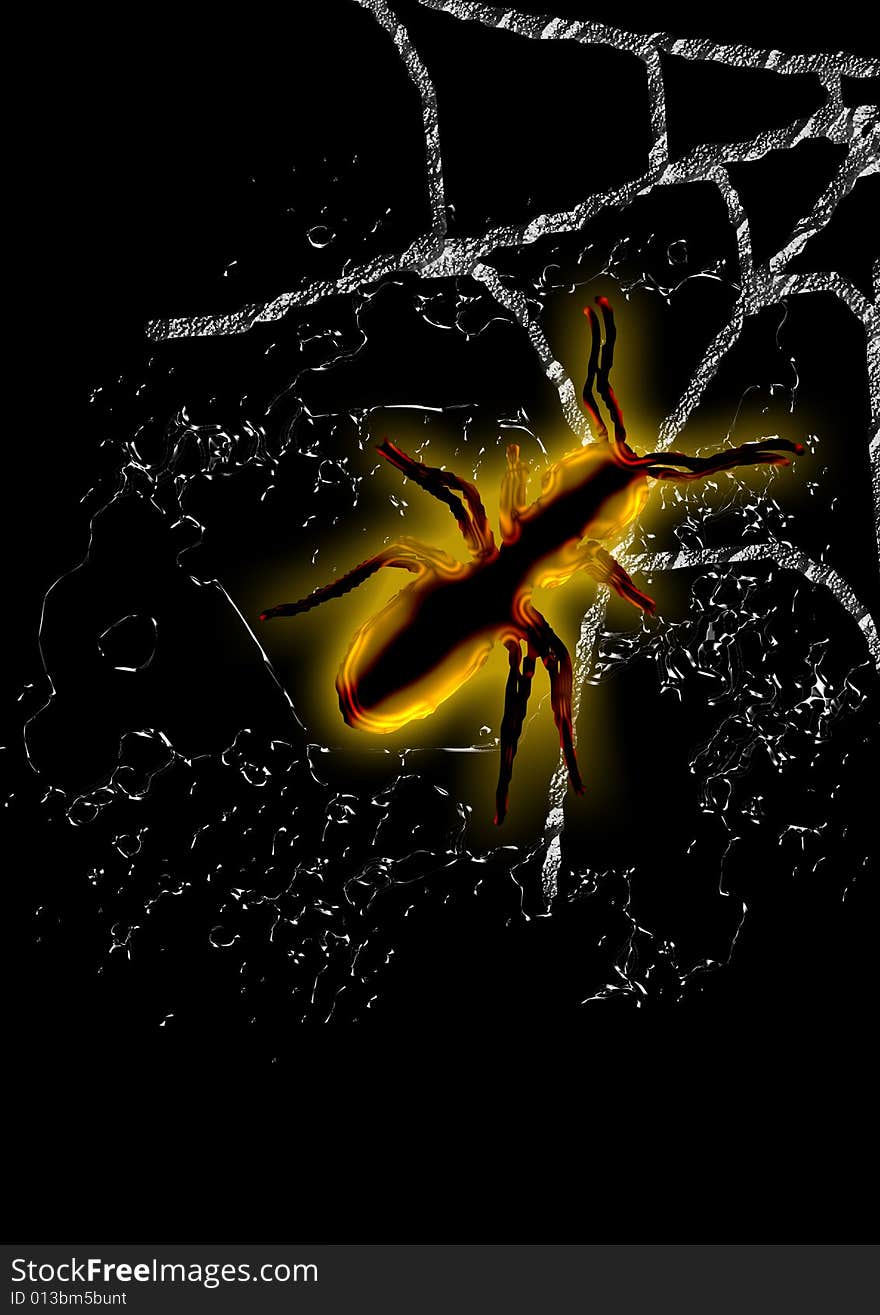 A view of a large insect on a silvery spider web against a black background. A view of a large insect on a silvery spider web against a black background.