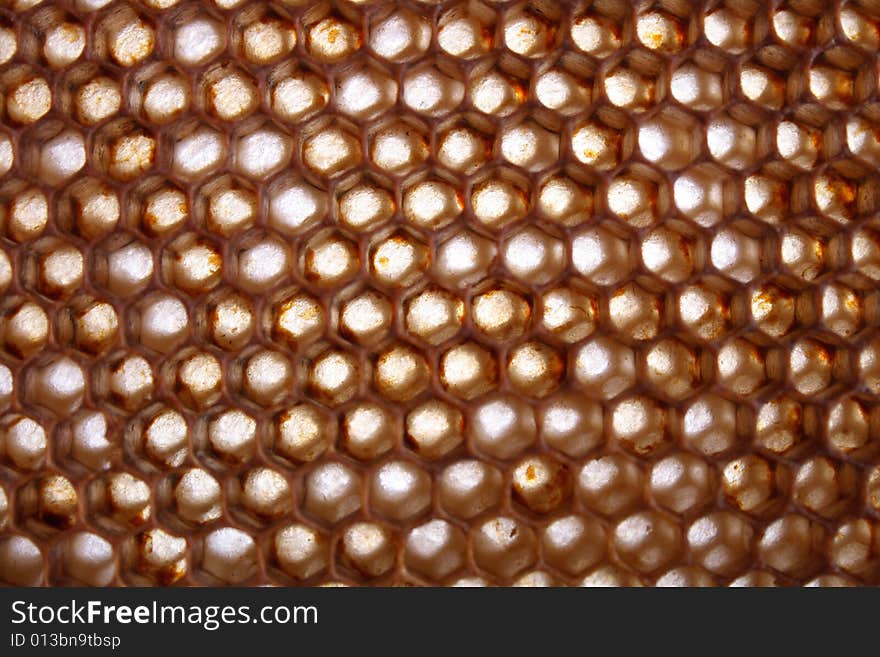 Natural honey texture without honey (abstract background)