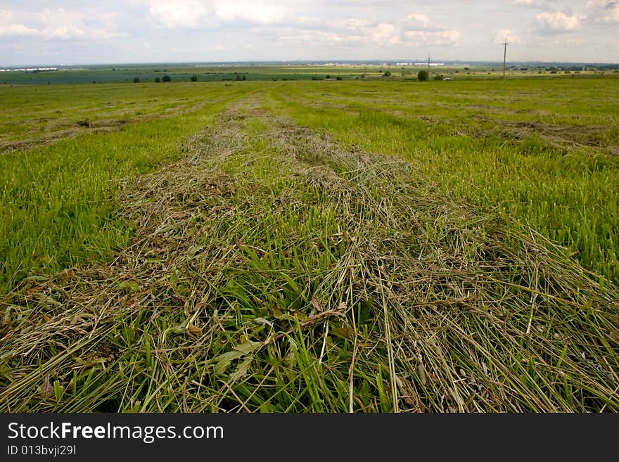 Field, sky