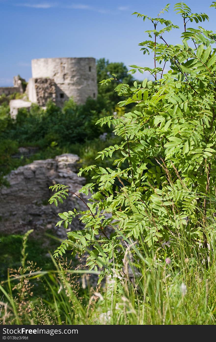 Kaporie castle, 1240 AD, North west region, Russia. Kaporie castle, 1240 AD, North west region, Russia