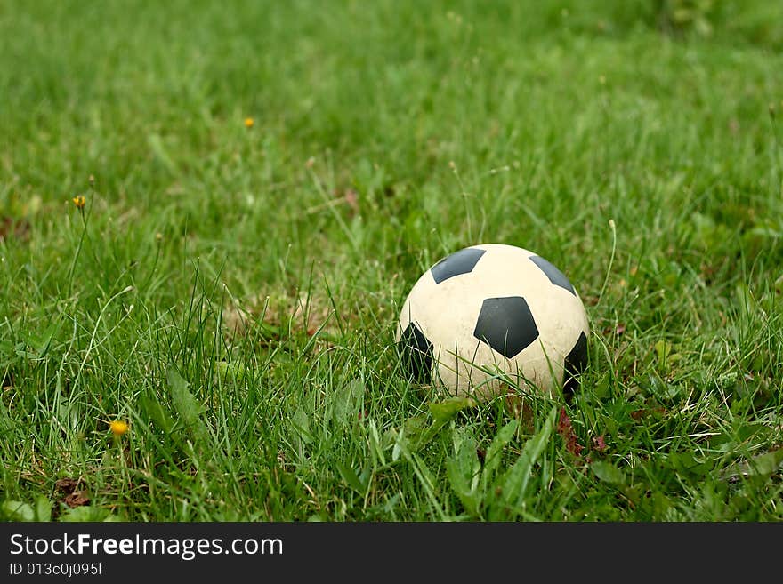 Football ball on green grass