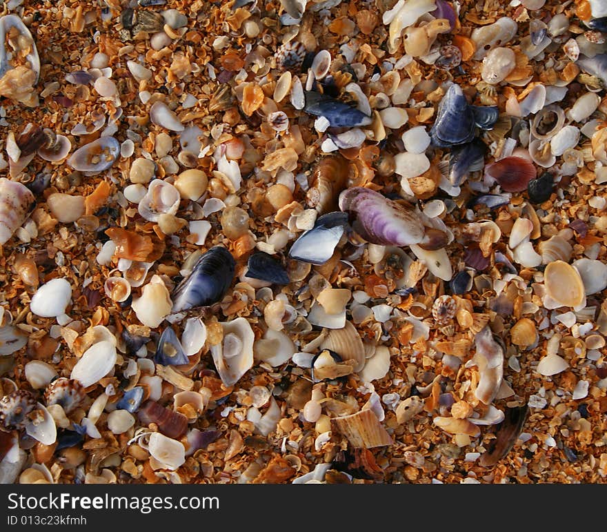 The sand of orange Raudisandur beach (Iceland). The orange sand are actually broken sea shells that give the beach its famous color. The sand of orange Raudisandur beach (Iceland). The orange sand are actually broken sea shells that give the beach its famous color.