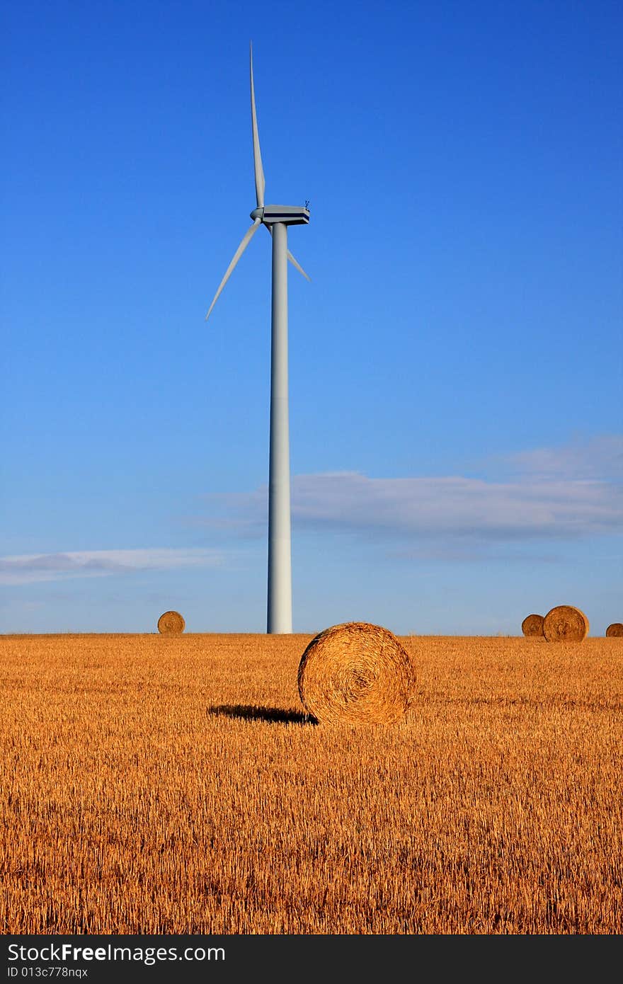 Photo of a windmill in a field in front of a blue sky.