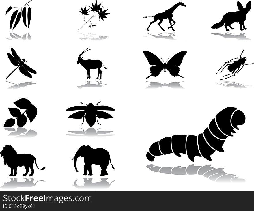 Set icons - 45. Nature. Set of 13 vector icons for web