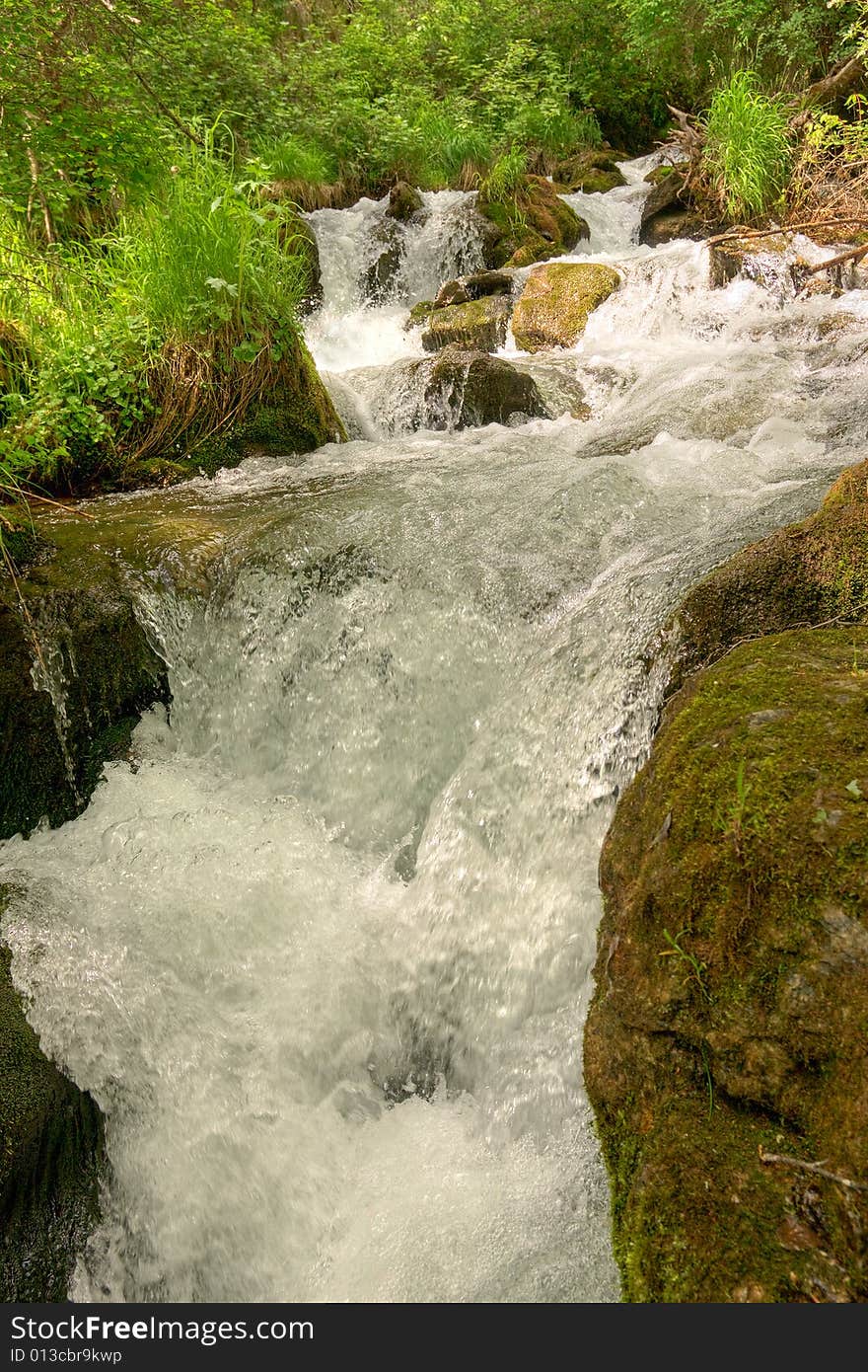 Mountain river in the forest