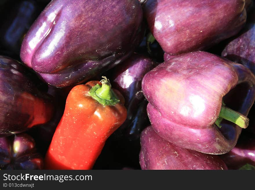 Selection of fresh organic purple and red peppers, at the farmers market