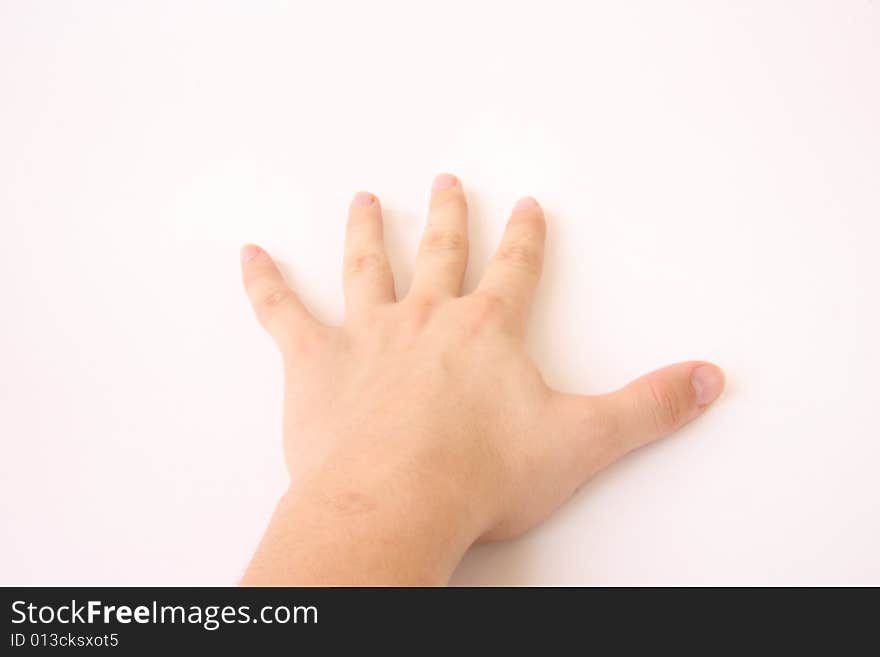 Hand at the white background