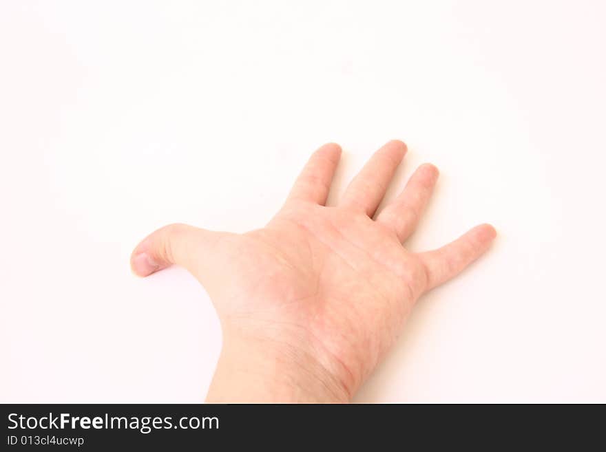 Hand at the white background