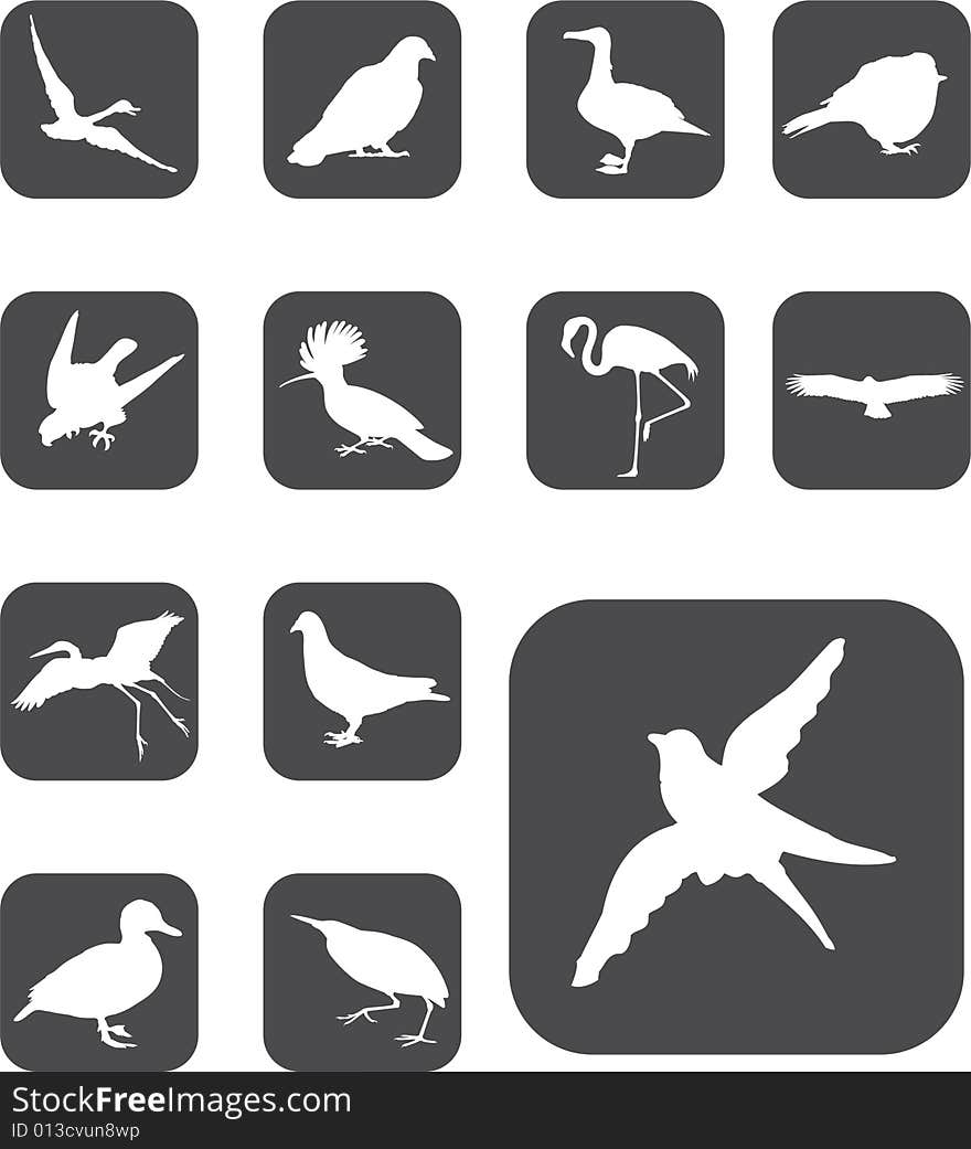 Set  buttons - 52_F. Birds. Set of 13 round vector buttons for web. Set  buttons - 52_F. Birds. Set of 13 round vector buttons for web