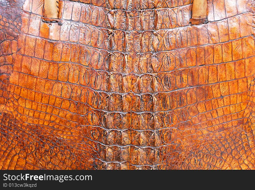 Crocodile leather