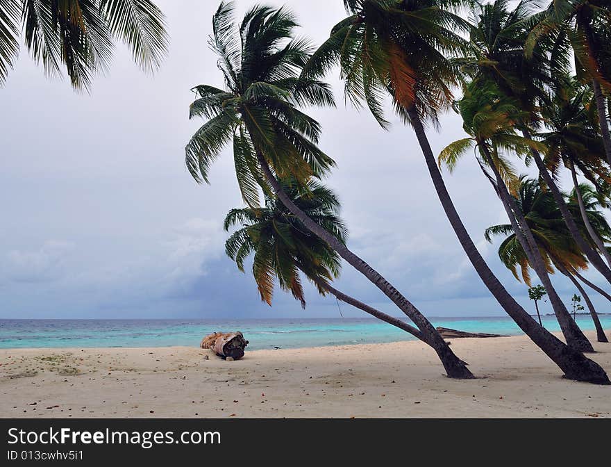 Tropical virgin beach