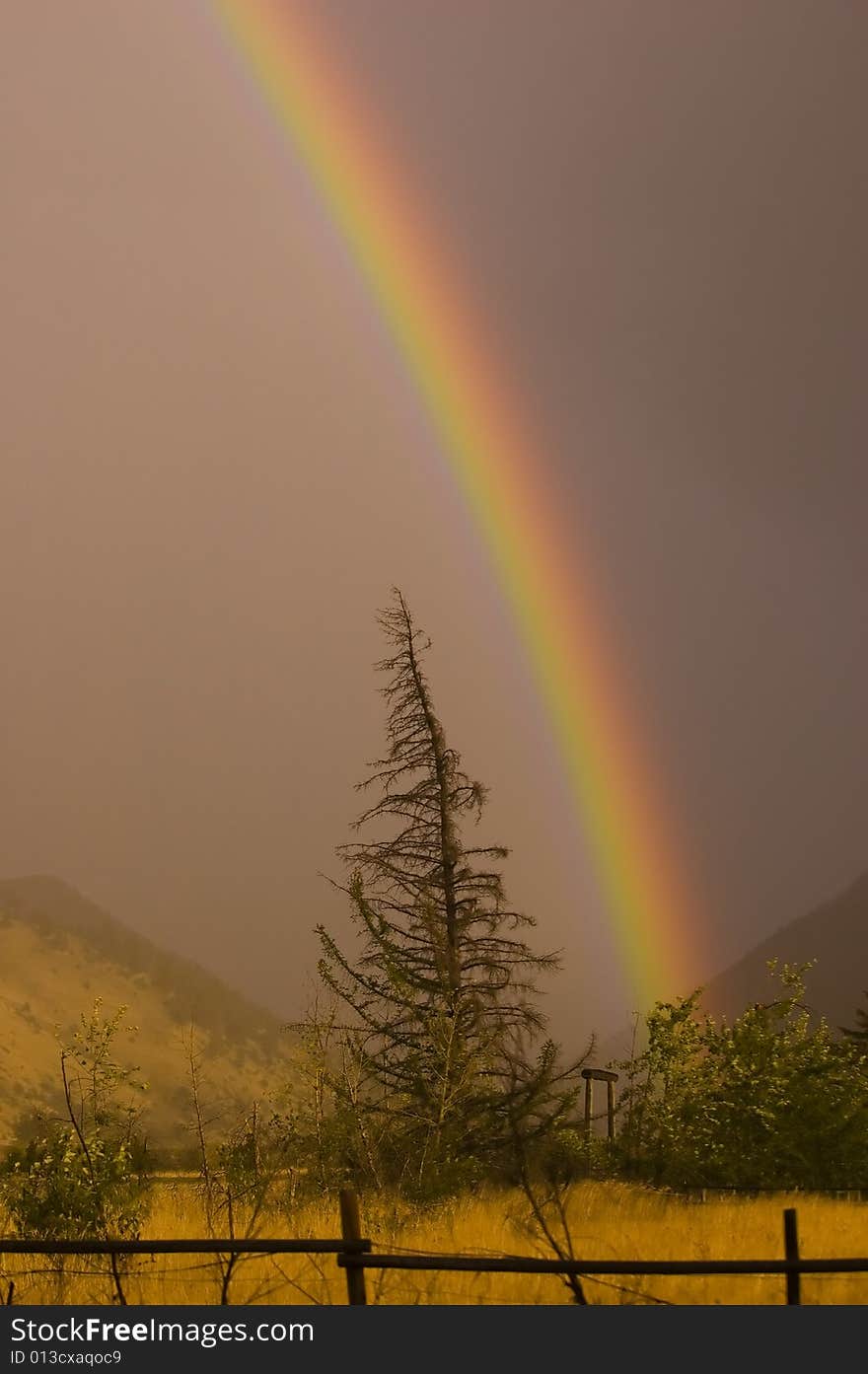 Beautiful rainbow appears after heavy rain.