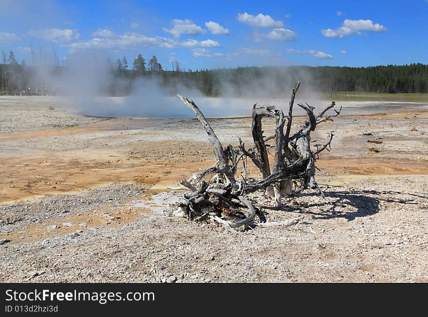 Lower Geyser Basin in Yellowstone