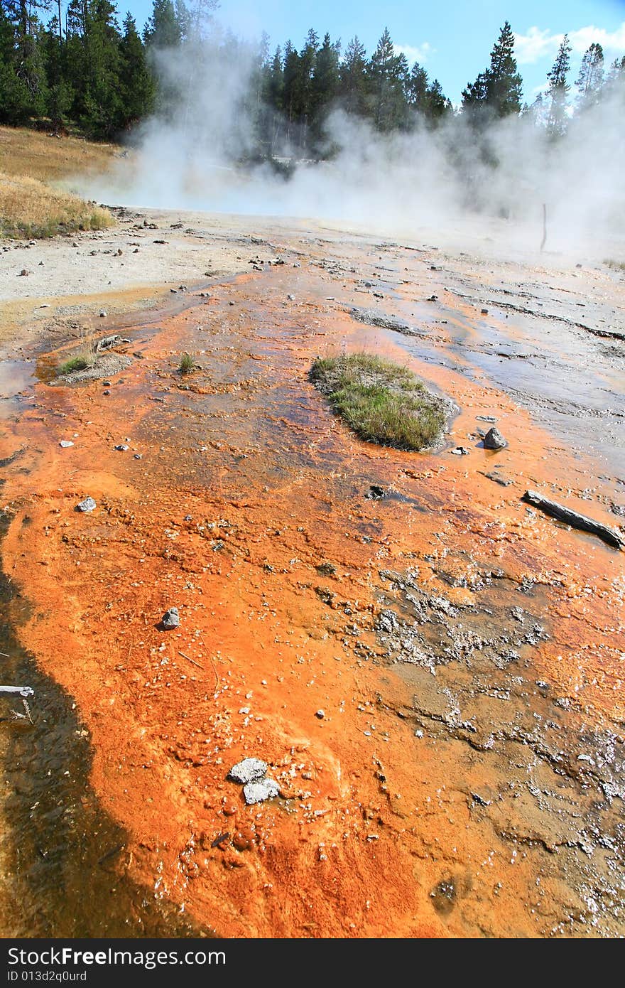 The scenery of Lower Geyser Basin in Yellowstone National Park