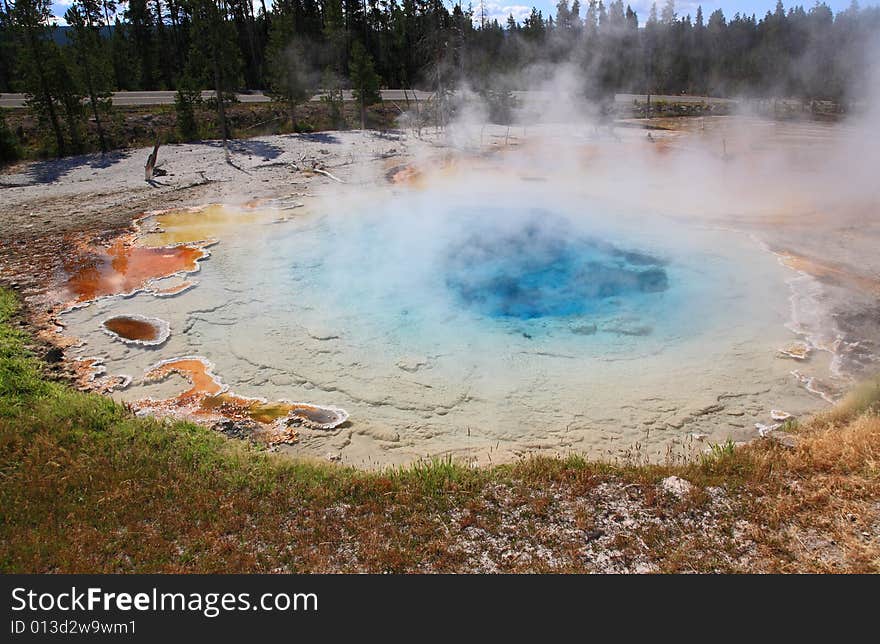 The scenery of Lower Geyser Basin in Yellowstone National Park