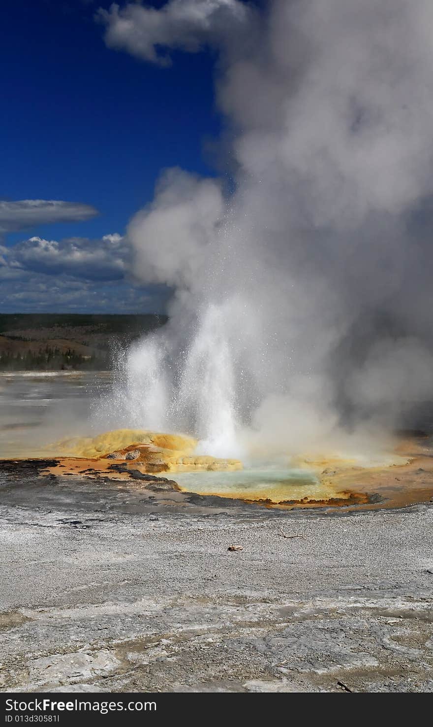 The scenery of Lower Geyser Basin in Yellowstone National Park