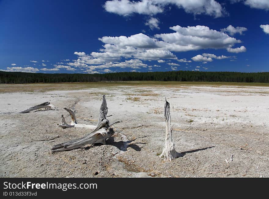 The scenery of Lower Geyser Basin in Yellowstone