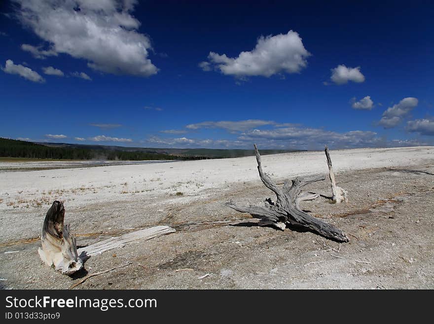 The scenery of Lower Geyser Basin in Yellowstone National Park