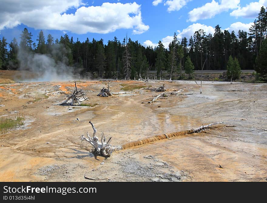 The scenery of Lower Geyser Basin in Yellowstone