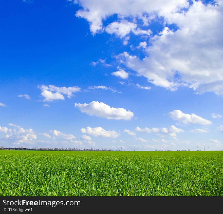 Field on a background of the blue sky