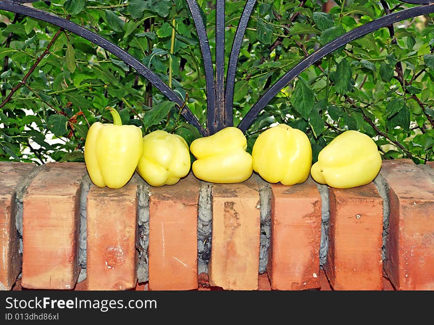 Yellow paprika on brick fence