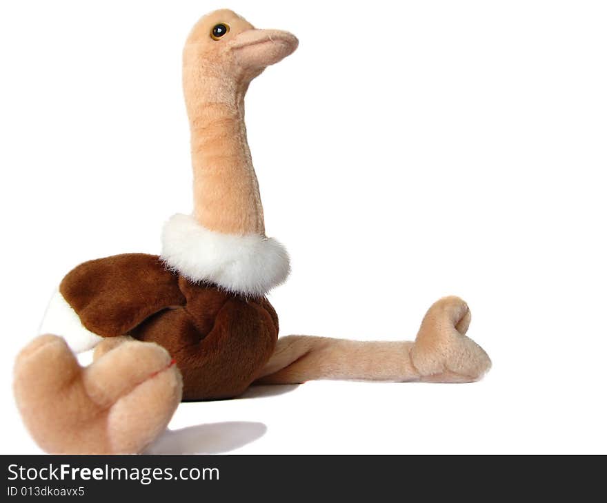 Toy Ostrich