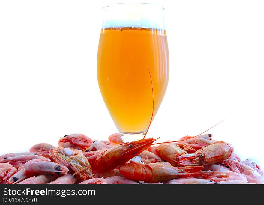 Beer and shrimps (prawns).