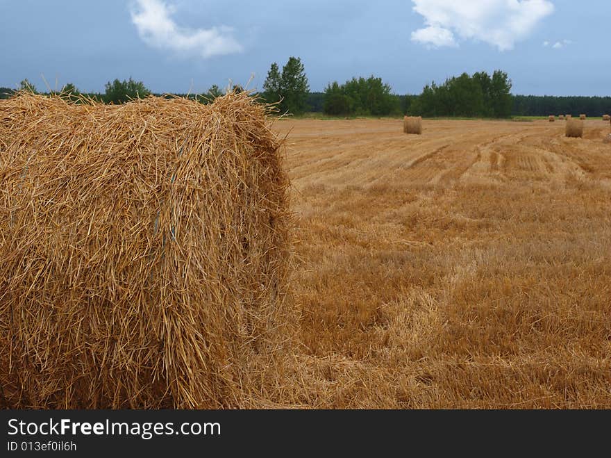 Hay bales lanshaft in overcast day. Hay bales lanshaft in overcast day