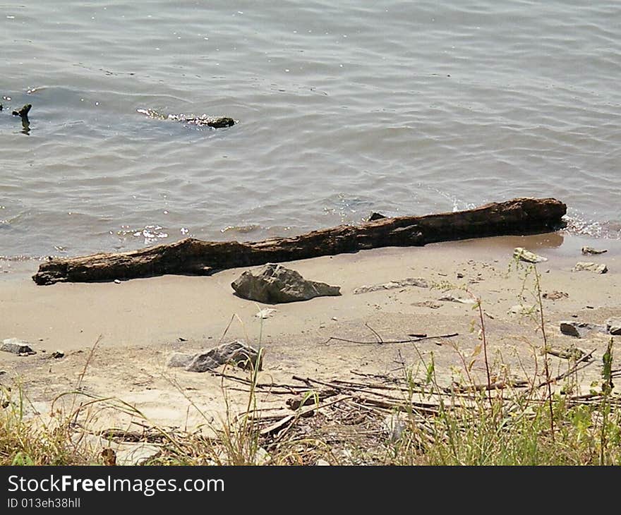 A log washed up on the shore of the Ohio River. A log washed up on the shore of the Ohio River.