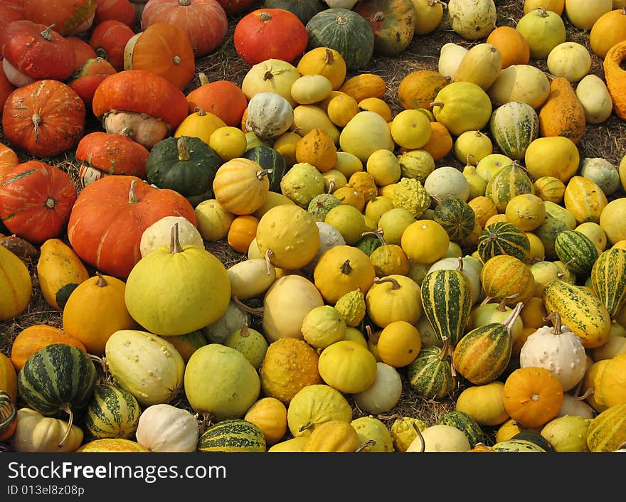 Gourds