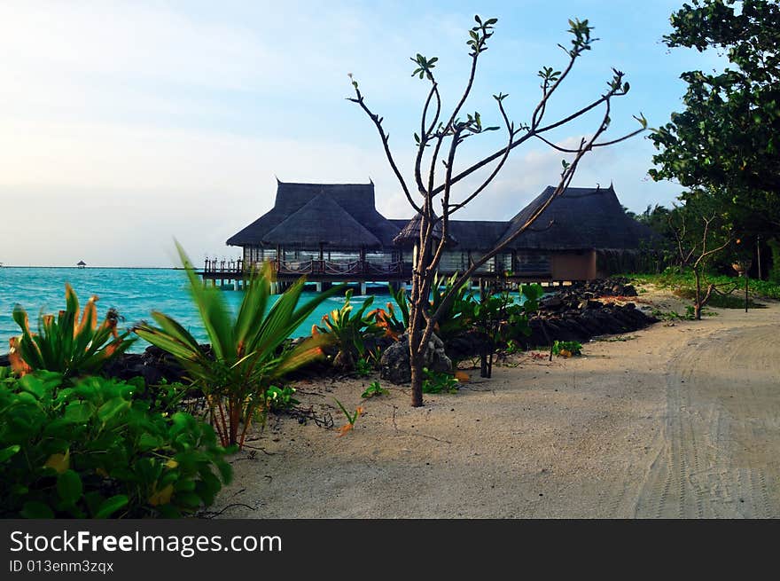 View of sunset on a tropical beach in Maldives