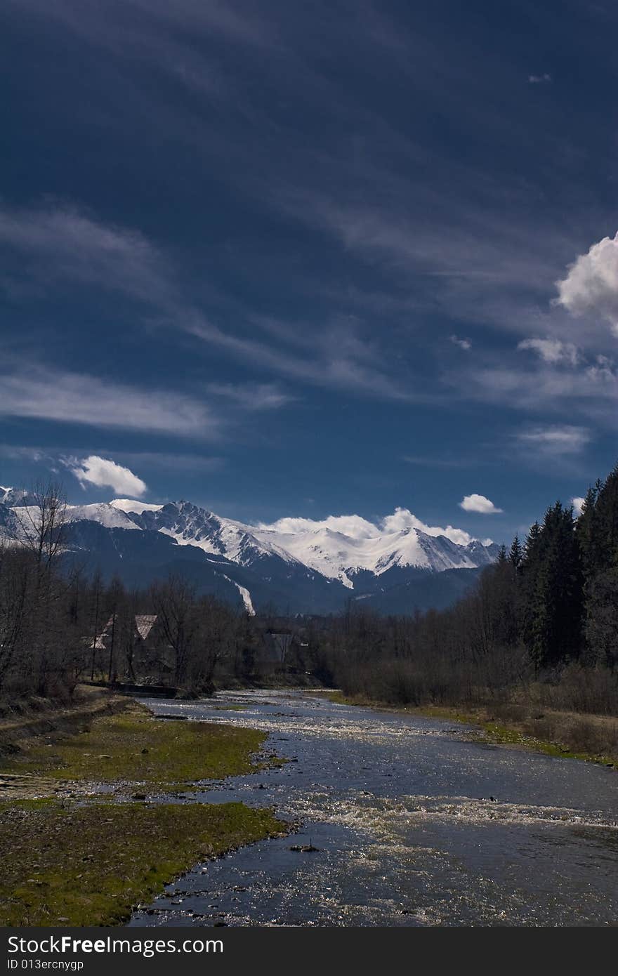 Small brook in the mountains in spring