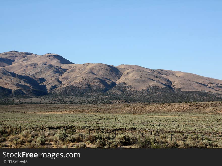 Nevada Hillside