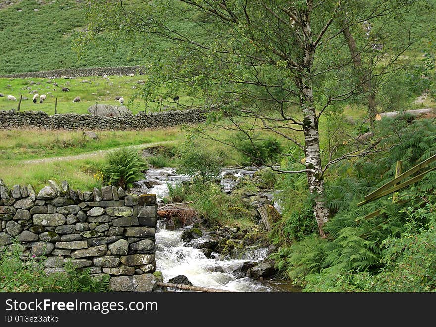 Lake District Landscape 4