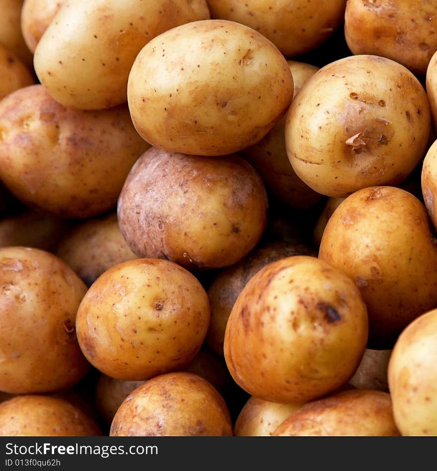 Small potatoes