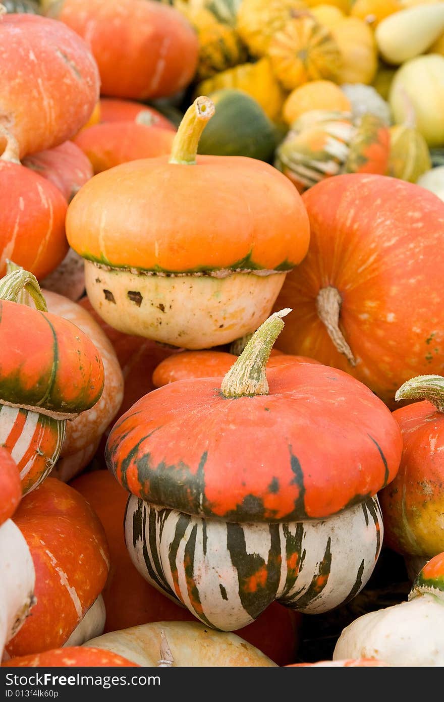 Heap of pumkins from a pumpkin patch .