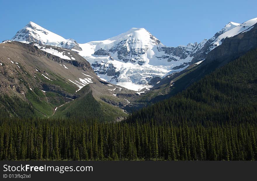 Snow mountain near Columbia Glacier in Rockies Icefield National Park