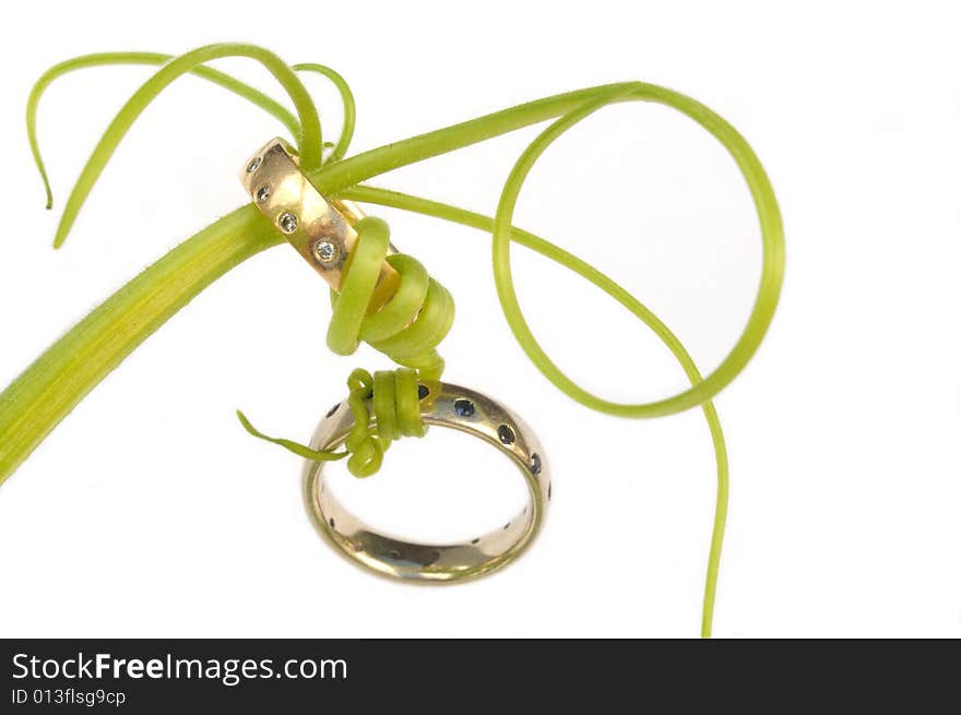 Wedding rings connected with vines