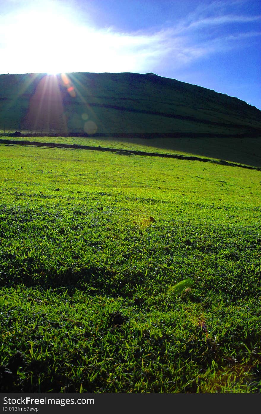 Spring landscape, blue sky field. Spring landscape, blue sky field