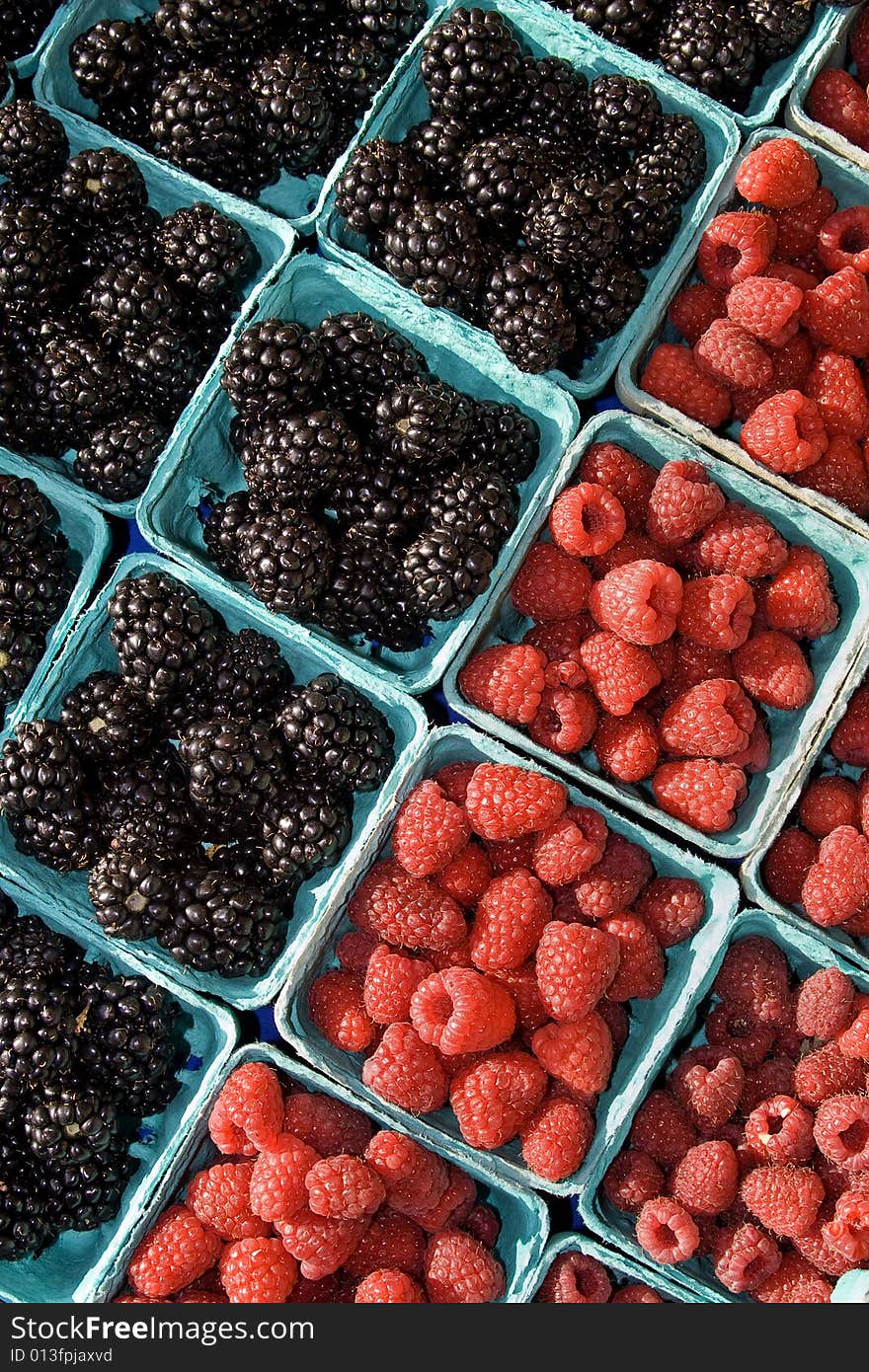 Blackberries and Raspberries - Vertical