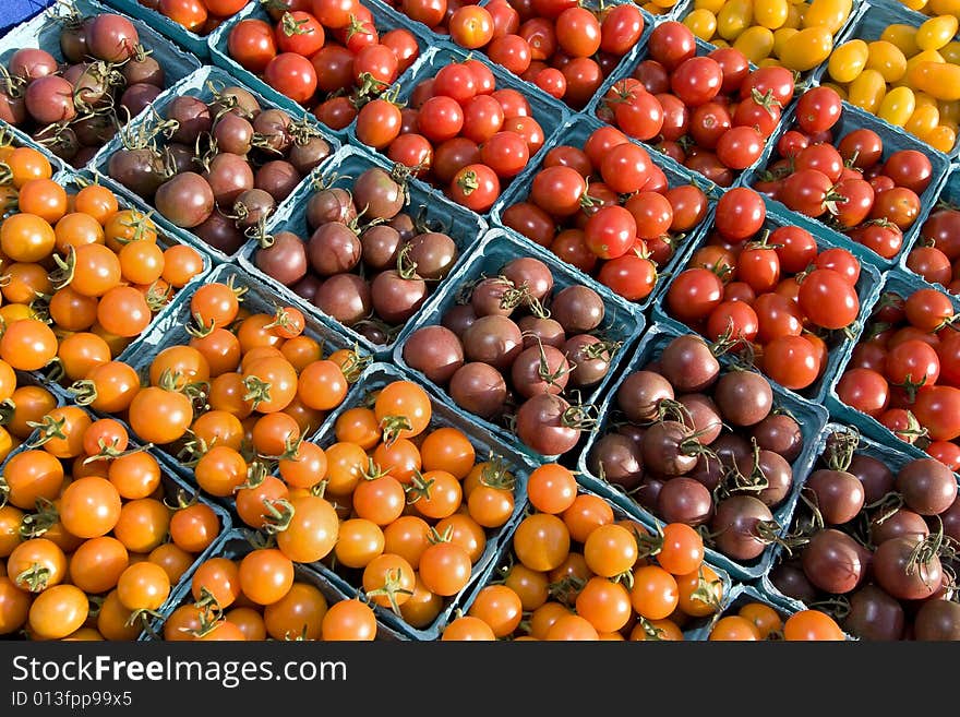 Tomatoes - Horizontal