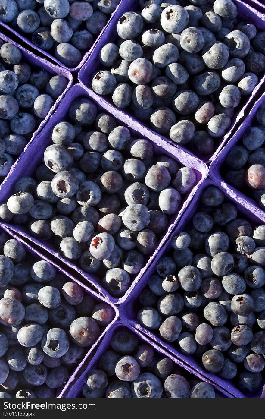 Blueberries - Vertical