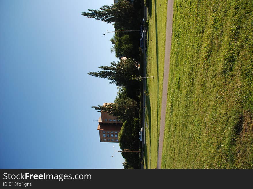 Grass in the residential area. Grass in the residential area