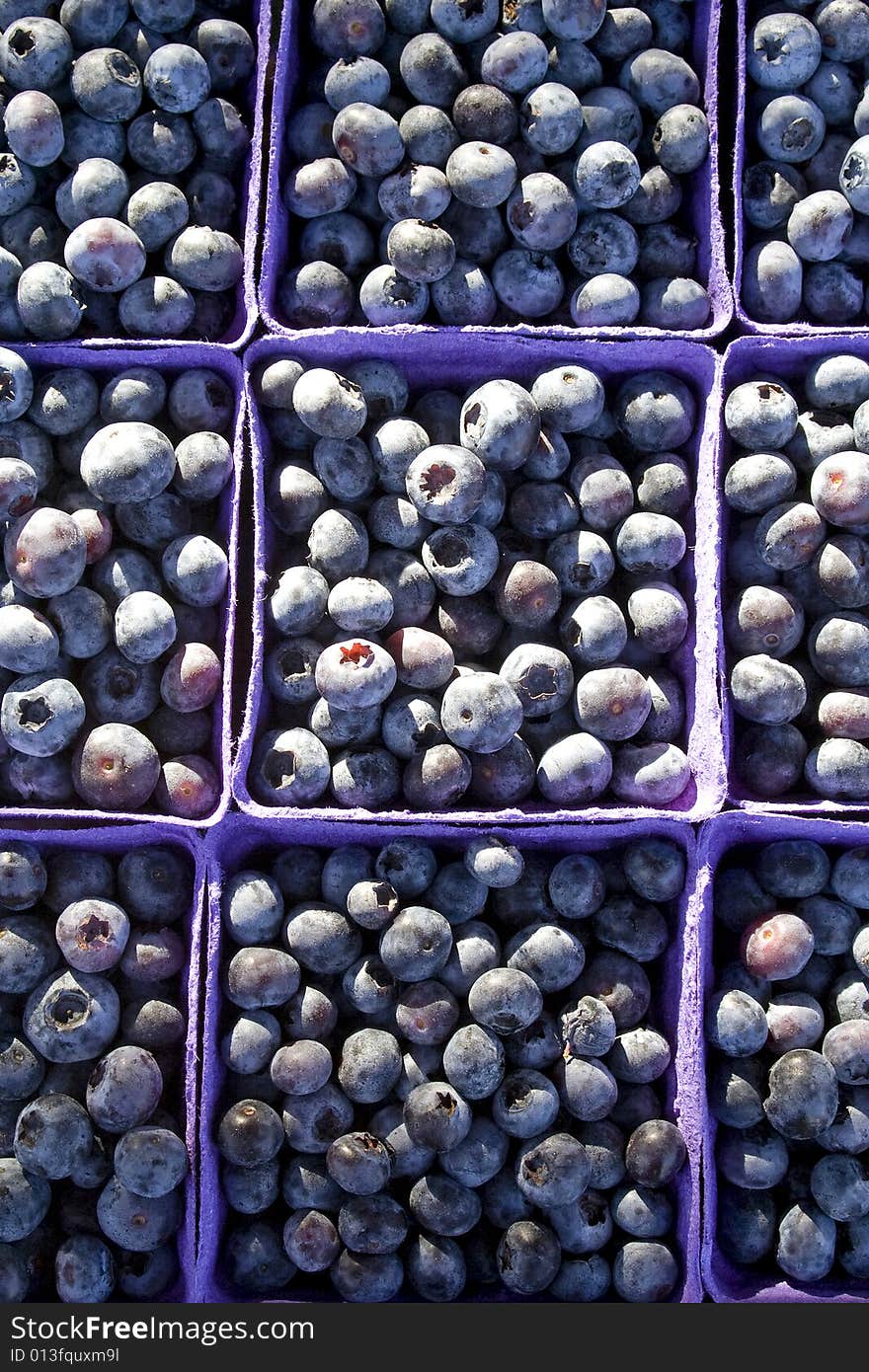 Blueberries - Vertical