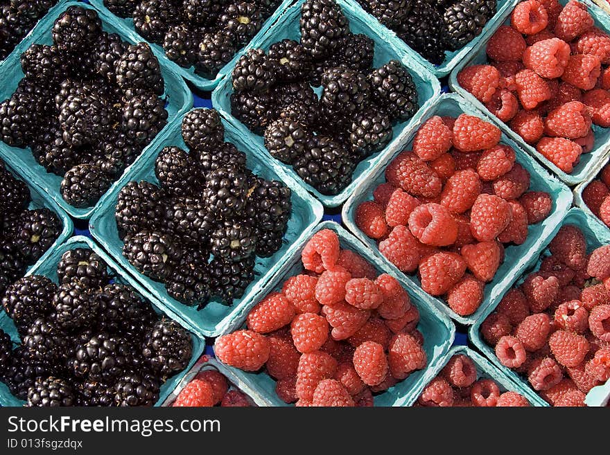 Blackberries and Raspberries - Horizontal