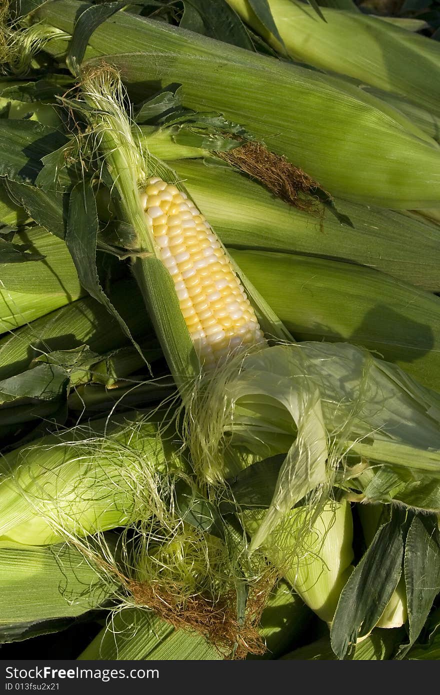 Corn