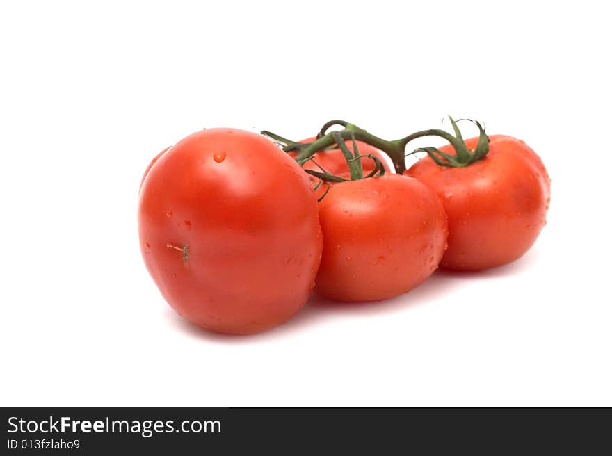 Red tomatoes on a white background