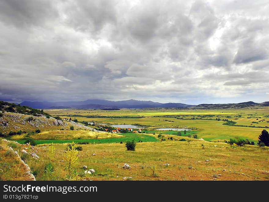 Green meadow and firs on hill over gray sky. Green meadow and firs on hill over gray sky