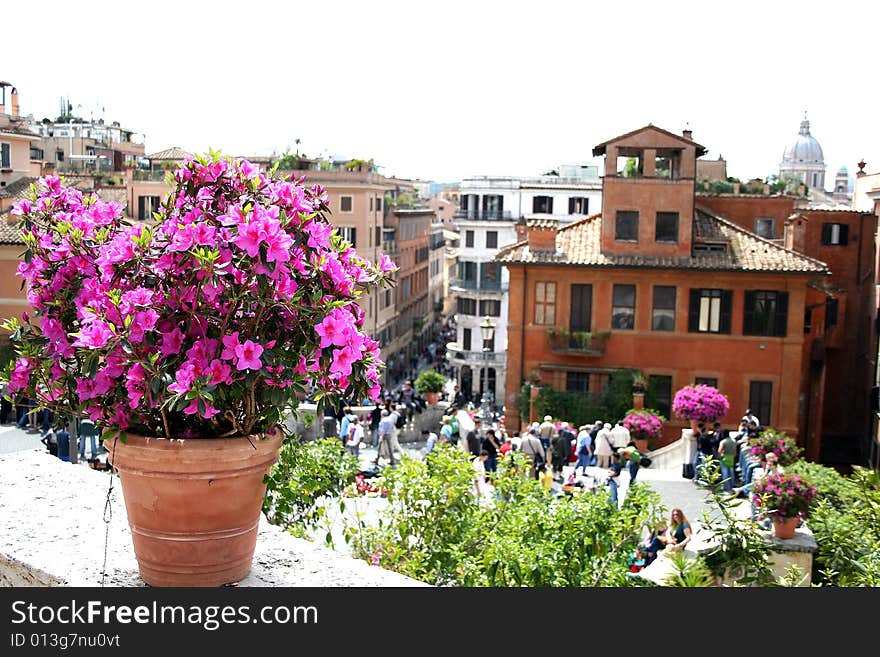 Rome-the flowers in Spagna place